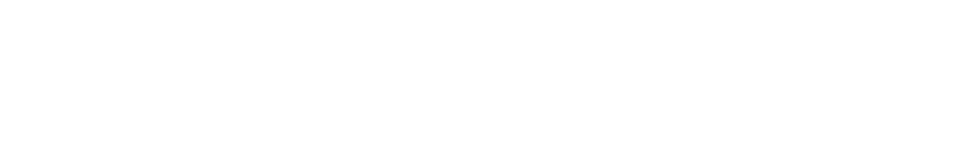 Notino Notino Logo