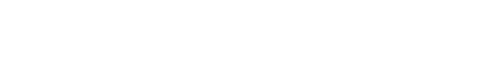 Skoda Skoda logo